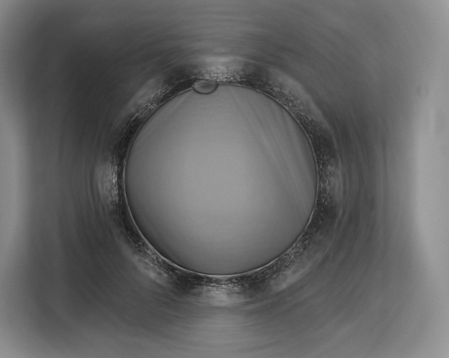 X0000113050696200909171541