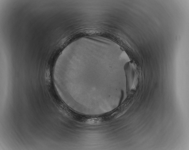 X0000113050700200909171541