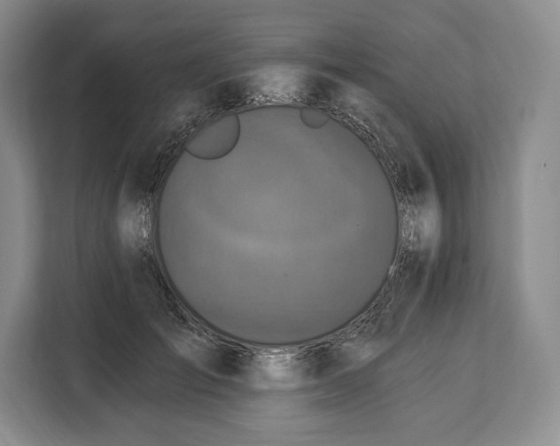 X0000113050701200909171541