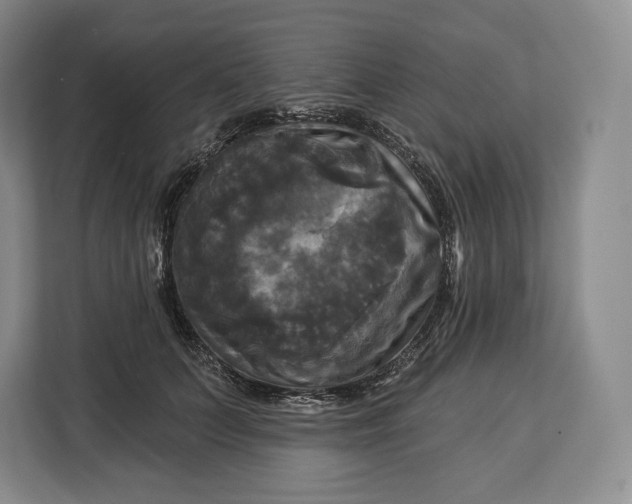 X0000113050703200909171541