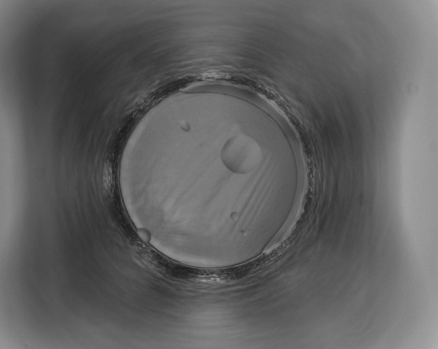 X0000113050704200909171541