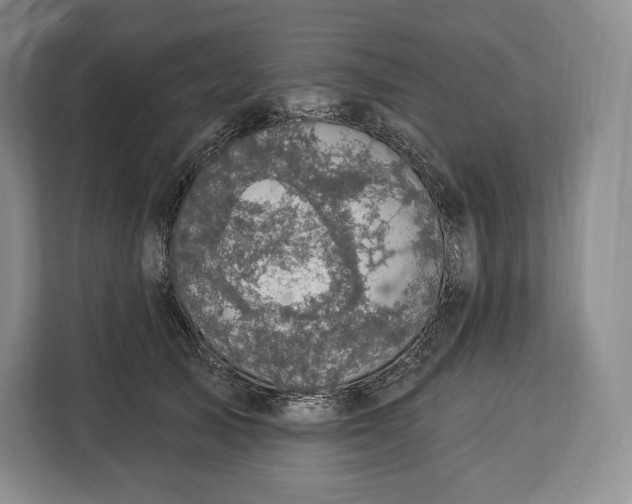 X0000113050705200909171541