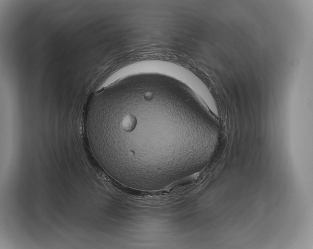 X0000113050708200909171541