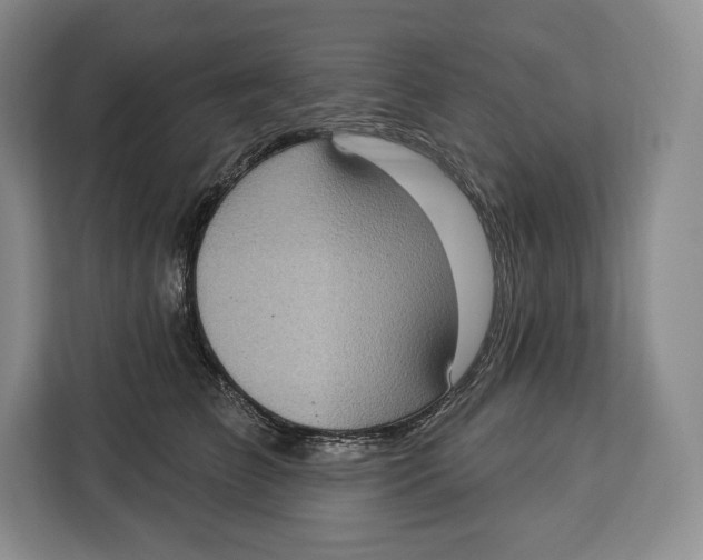 X0000113050709200909171541