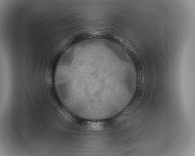 X0000113050710200909171541