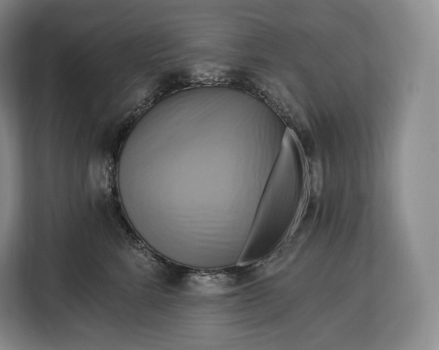 X0000113050712200909171541