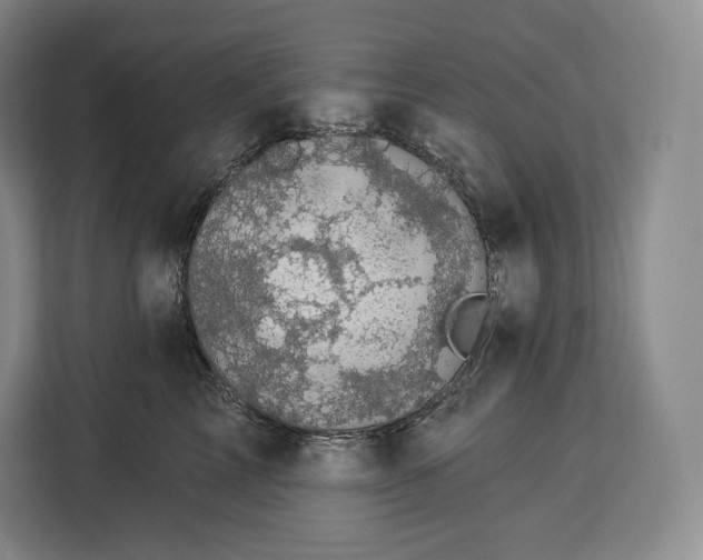 X0000113050713200909171541