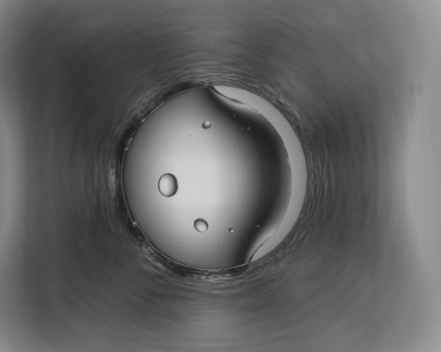 X0000113050716200909171541