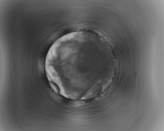 X0000113050719200909171541