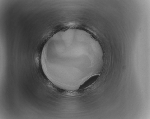 X0000113050720200909171541