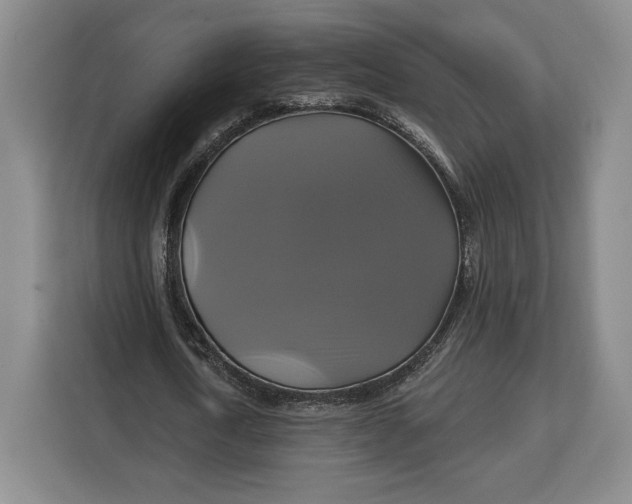 X0000113050722200909171540