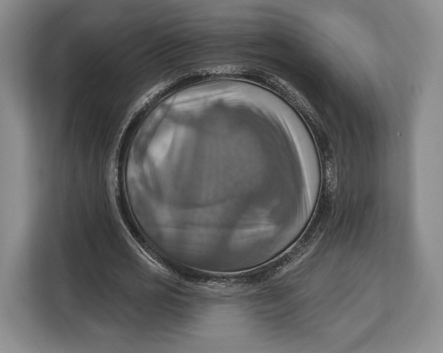 X0000113050725200909171540