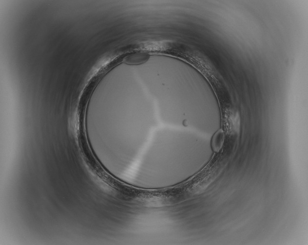 X0000113050726200909171540