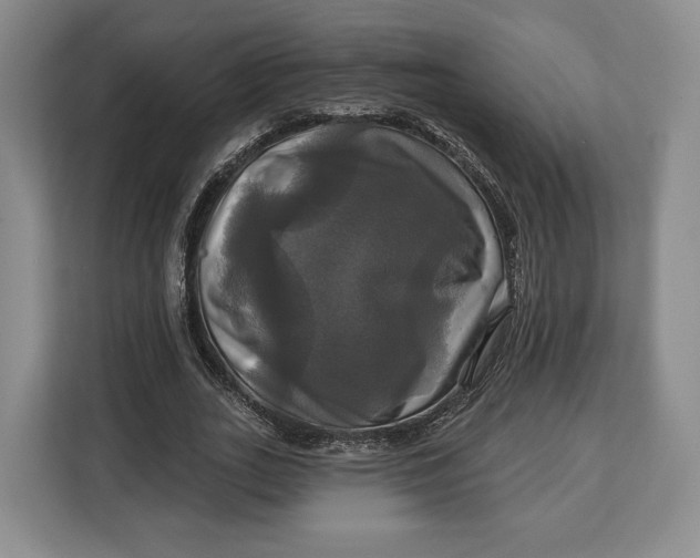 X0000113050727200909171540