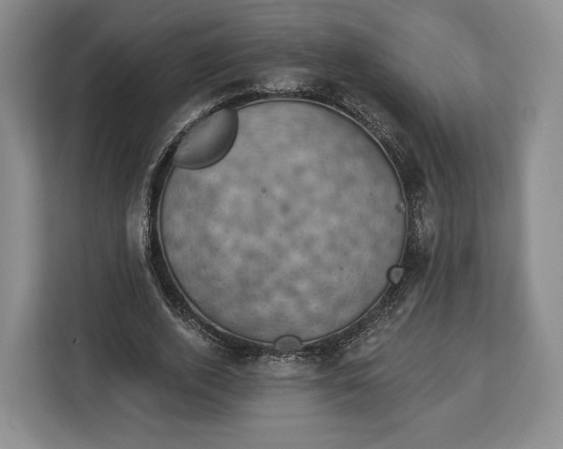 X0000113050728200909171540