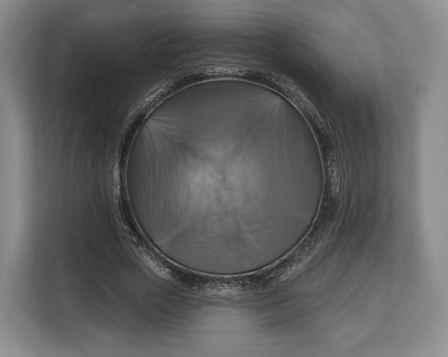 X0000113050729200909171540