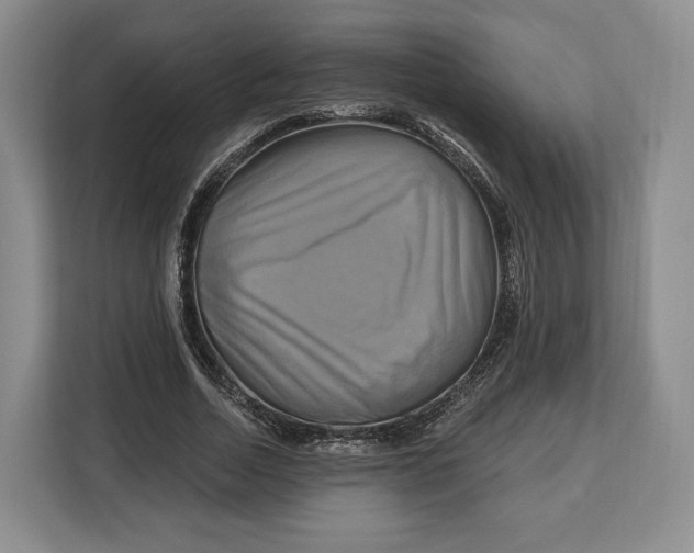 X0000113050730200909171540