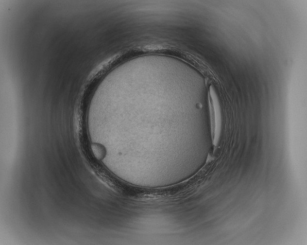 X0000113050732200909171540