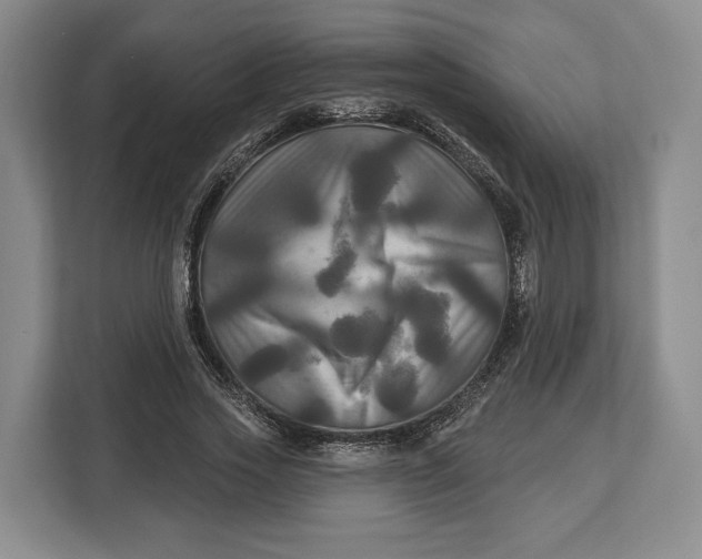 X0000113050733200909171540