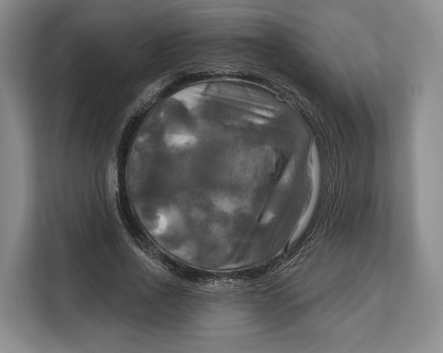 X0000113050734200909171540