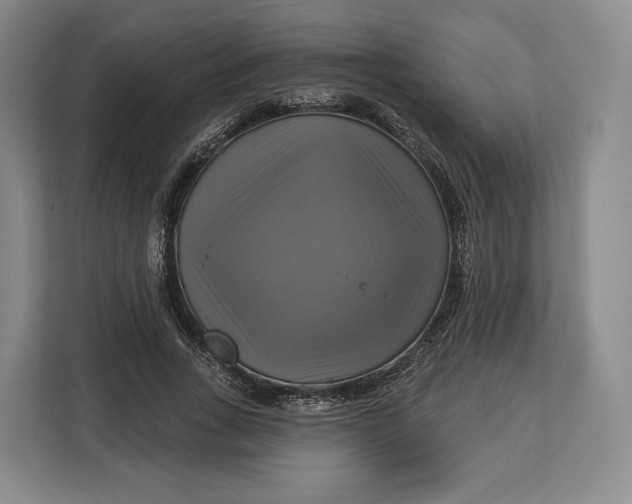 X0000113050735200909171540