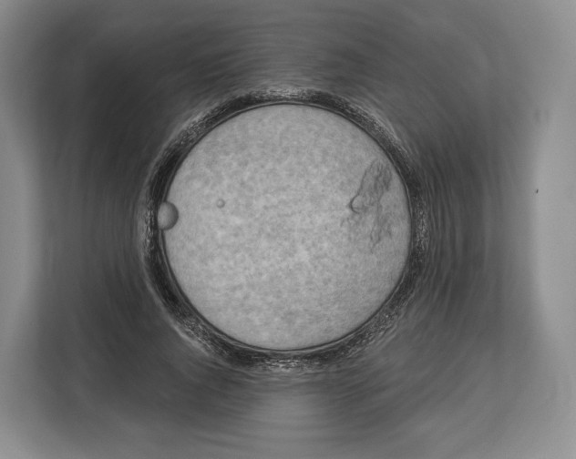 X0000113050736200909171540