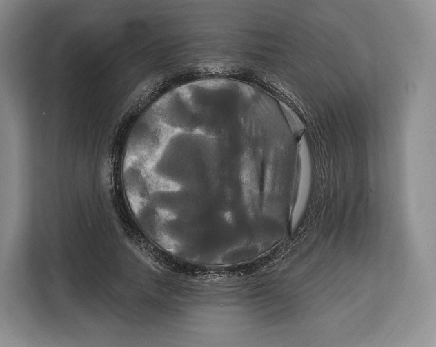 X0000113050738200909171540