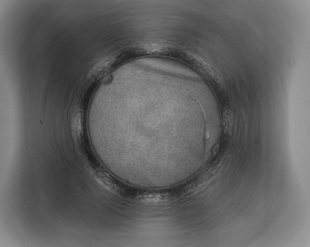 X0000113050740200909171540