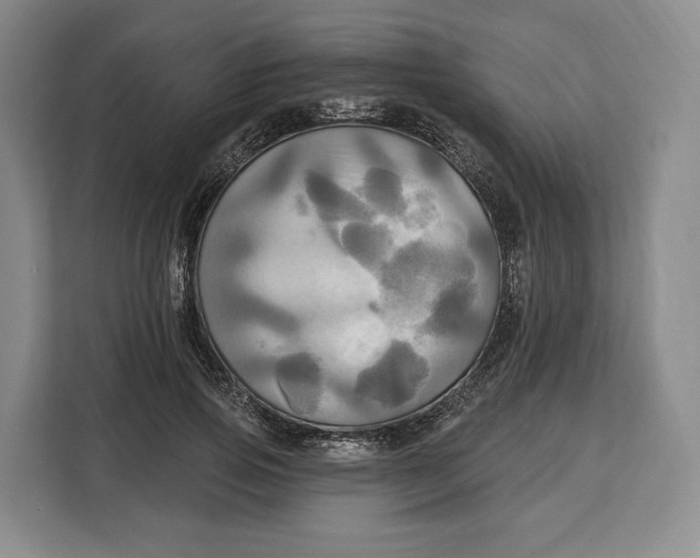 X0000113050741200909171541