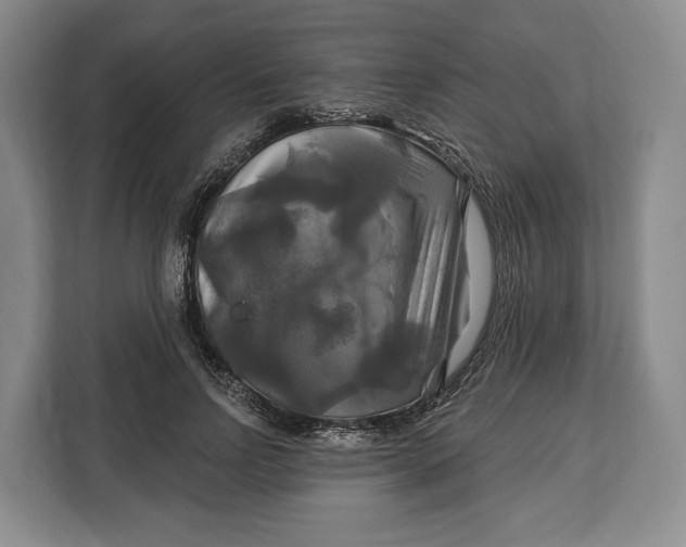 X0000113050742200909171541