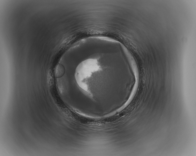 X0000113050743200909171541