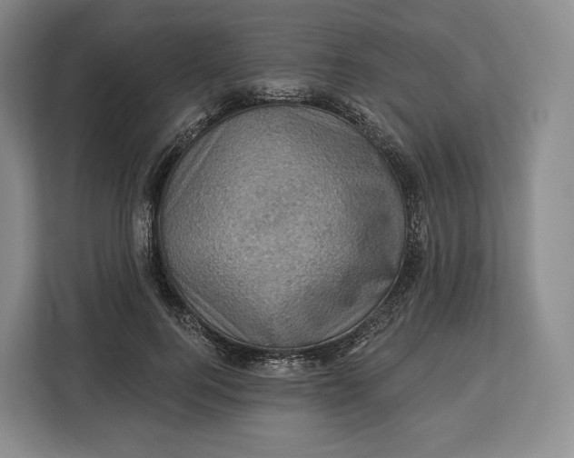 X0000113050744200909171541