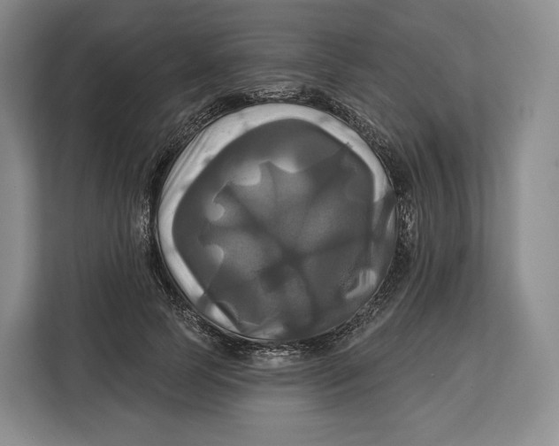 X0000113050745200909171541