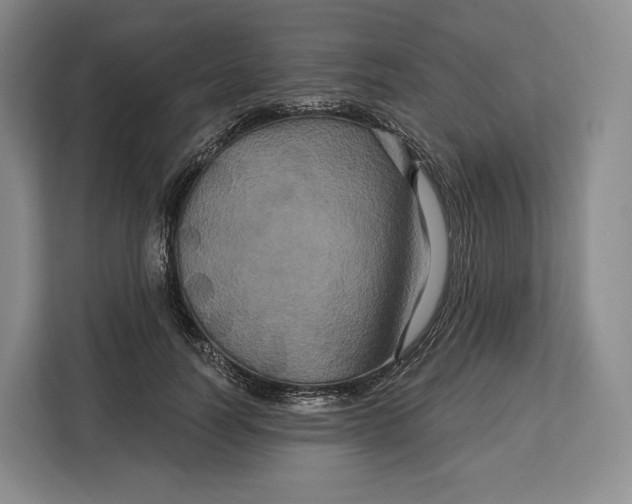 X0000113050746200909171541