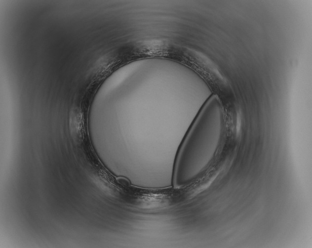 X0000113050748200909171541