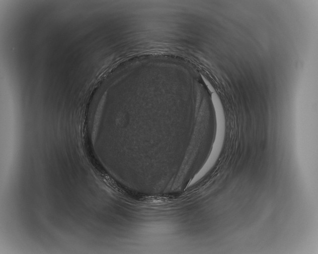 X0000113050750200909171541