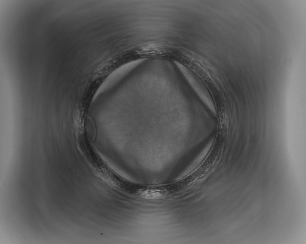 X0000113050751200909171541