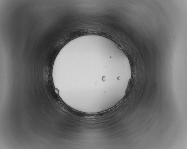 X0000113050752200909171541