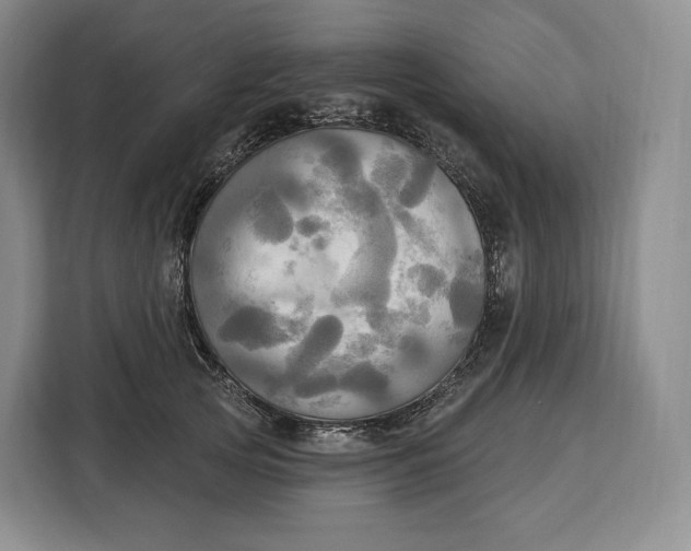 X0000113050753200909171541