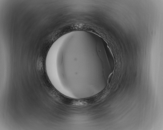 X0000113050754200909171541