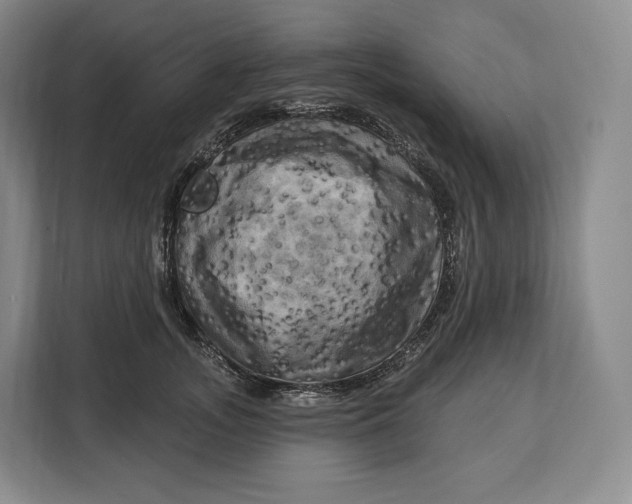 X0000113050755200909171541