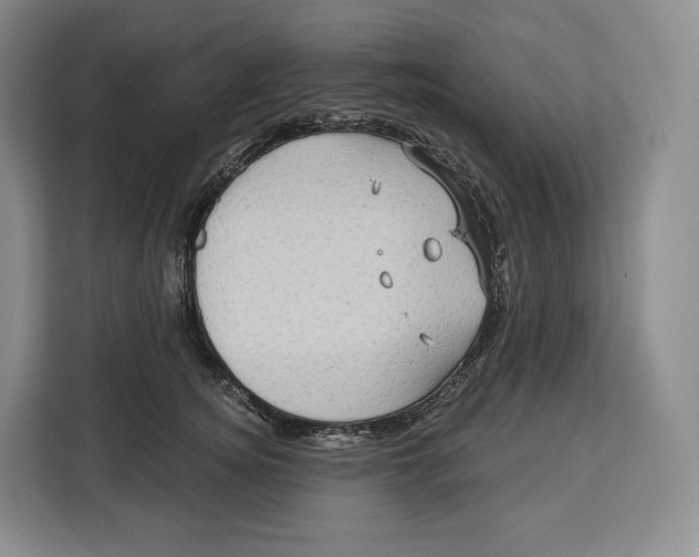 X0000113050756200909171541