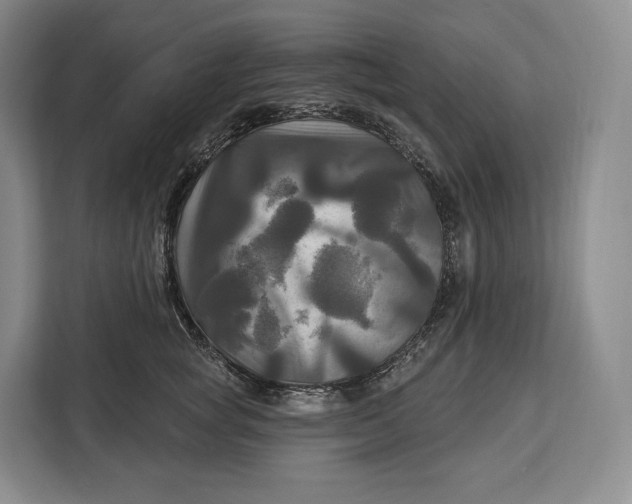 X0000113050757200909171541