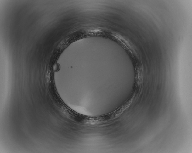 X0000113050758200909171541