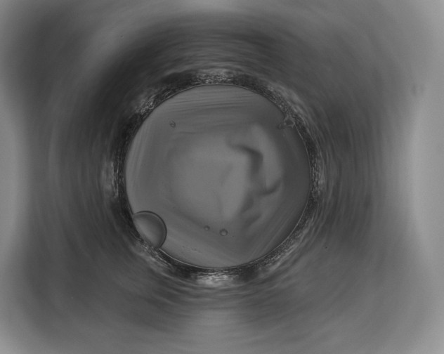 X0000113050759200909171541