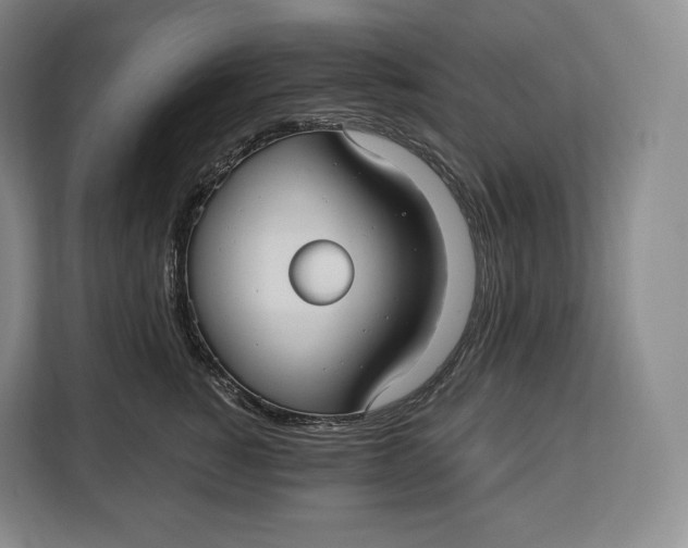 X0000113050760200909171541