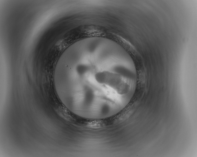 X0000113050761200909171541