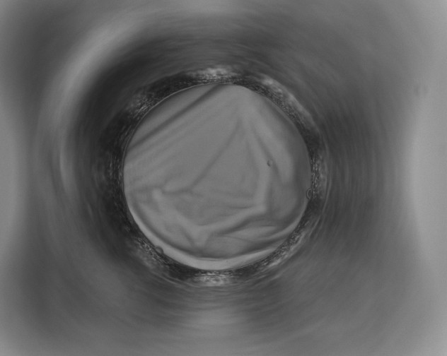 X0000113050762200909171541