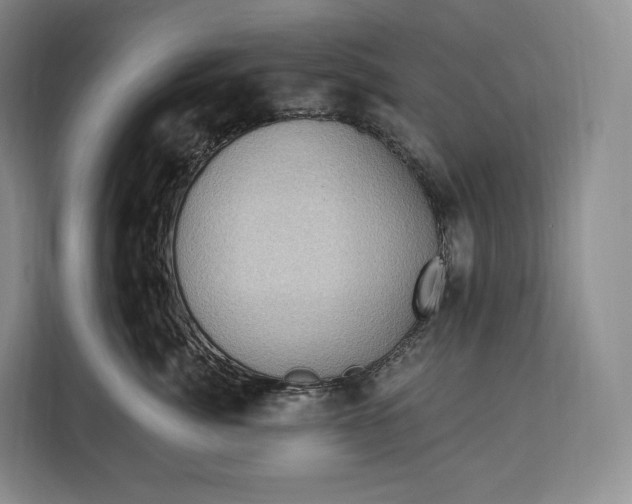 X0000113050764200909171541