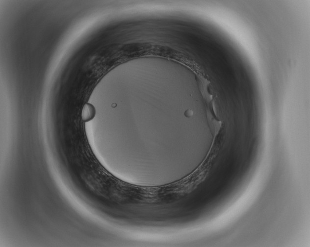 X0000113050766200909171541